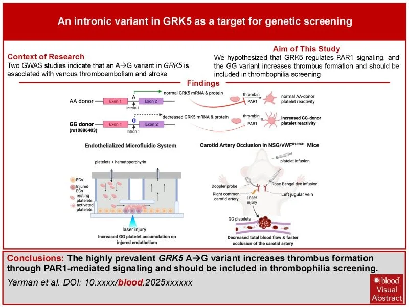 Peisong Ma on GRK5 Polymorphism Affecting Platelets 1 Peisong Ma on GRK5 Polymorphism Affecting Platelets