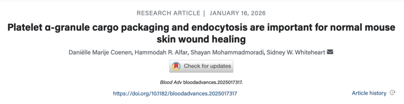 Daniëlle Coenen on The Role of Platelets in Skin Wound Healing