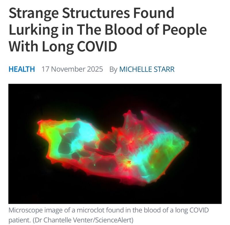 Craig Pearce: Hidden Blood Changes May Be Driving Long COVID Fatigue and Brain Fog 1 Craig Pearce: Hidden Blood Changes May Be Driving Long COVID Fatigue and Brain Fog