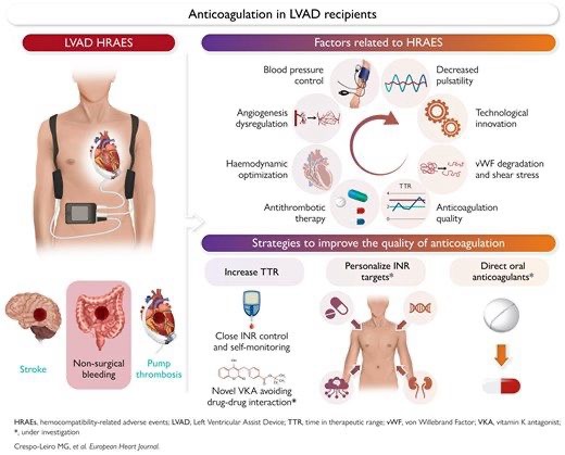 Bartosz Hudzik on Hemocompatibility in HeartMate 3 LVAD: Progress and Persistent Challenges 1 Bartosz Hudzik on Hemocompatibility in HeartMate 3 LVAD: Progress and Persistent Challenges