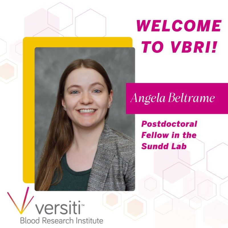 Angela Beltrame Joins Versiti Blood Research Institute