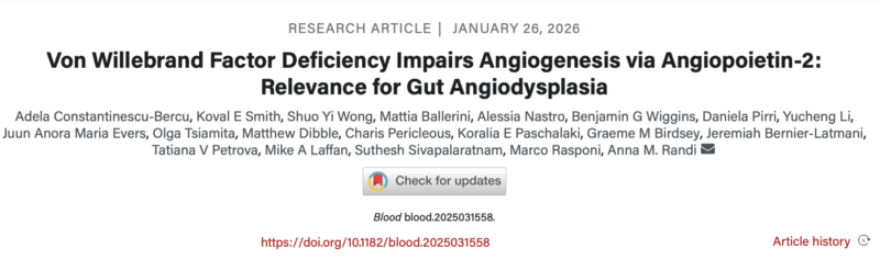 Anna Randi Shares the Latest Episode of The VWF and Angiogenesis Story from Her Lab