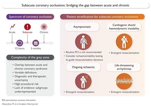 Bartosz Hudzik on Subacute Coronary Occlusions: Navigating the Gray Zone in CAD Care