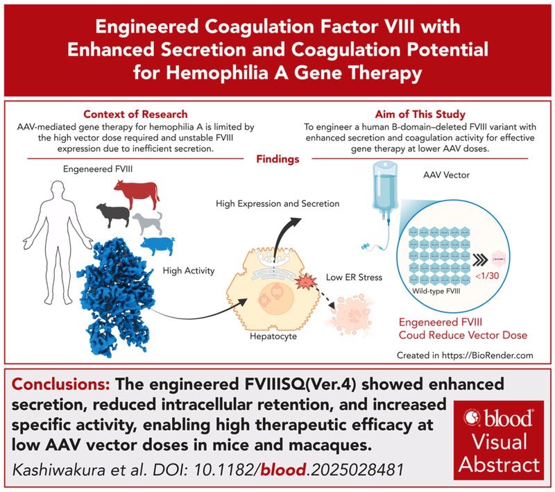 Michael Makris on Japan's Breakthrough FVIII Variants for Hemophilia A