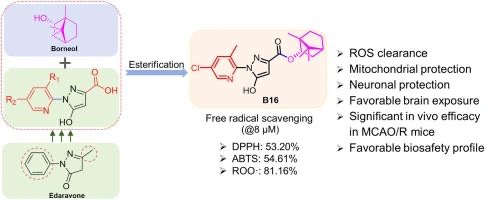 Gagan Kukreja Shares A Study On Novel Neuroprotective Agents for Ischemic Stroke