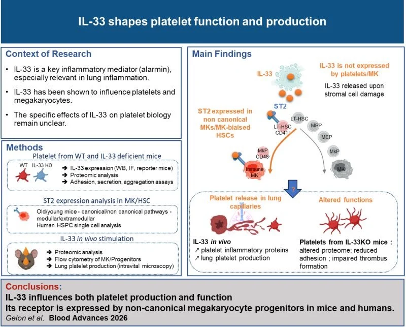 Emma Lefrancais on Alarmin IL33 and Platelet Biology