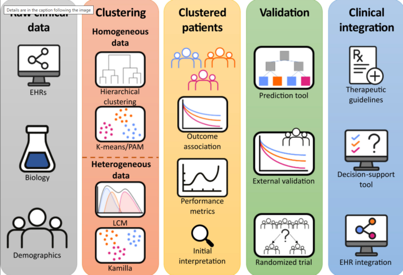 Unsupervised Machine Learning for Patient Stratification in Cardiovascular Disease 1 Unsupervised Machine