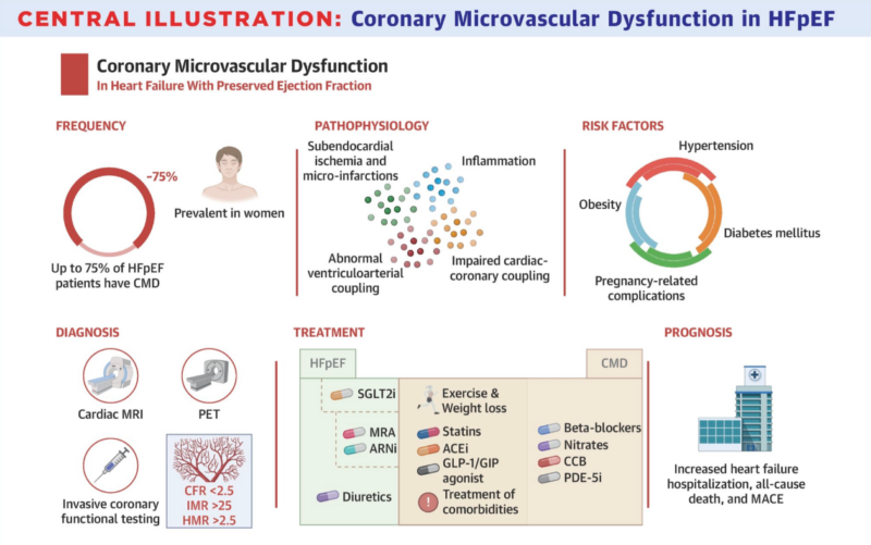 Coronary Microvascular Dysfunction and HFpEF․ Prognostic Importance and Therapeutic Insights 1 Coronary