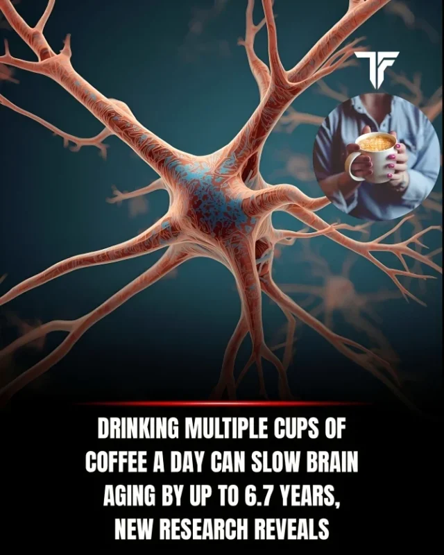Mahesan Subramaniam: Higher Coffee Intake Linked to Younger Brain Age and Better Cognitive Performance 1 Mahesan Subramaniam: Higher Coffee Intake Linked to Younger Brain Age and Better Cognitive Performance