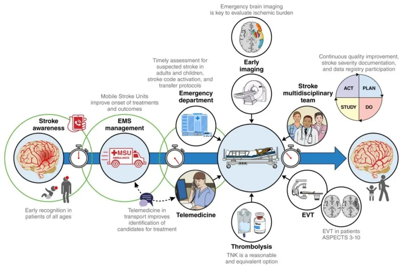 Khokon Miah Akanda: 2026 Guideline for the Early Management of Patients With Acute Ischemic Stroke