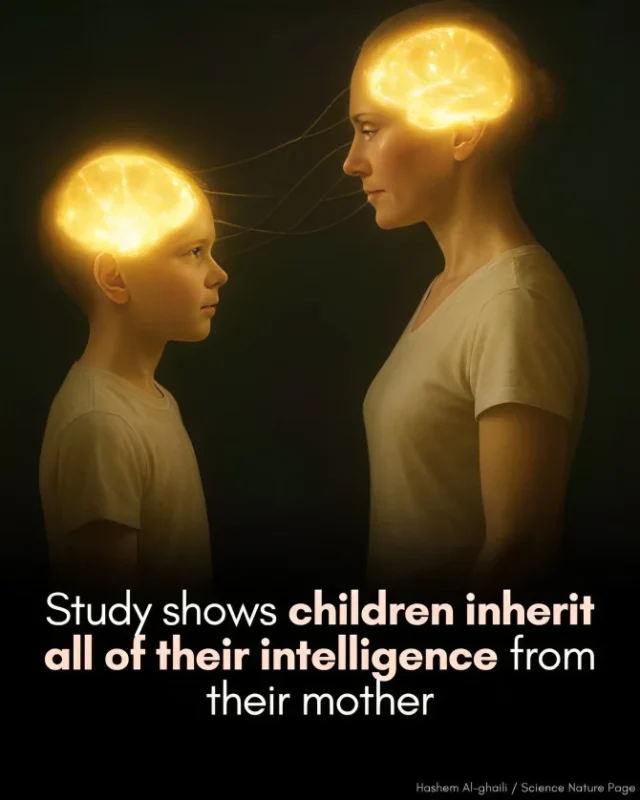 Intelligence
