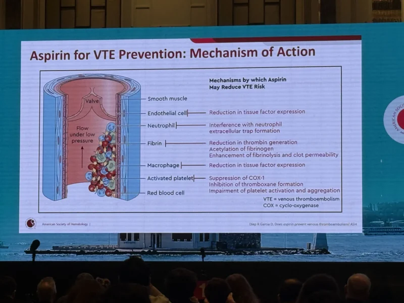 Inside 2026 Highlights of ASH in the Mediterranean, Middle East, and North Africa with Dr. Heghine Khachatryan 4 Inside 2026 Highlights of ASH in the Mediterranean, Middle East, and North Africa with Dr. Heghine Khachatryan