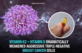 Beenish Abbas: Synergistic Tumor-Suppressive Effects of Vitamin K2 and Vitamin D in TNBC