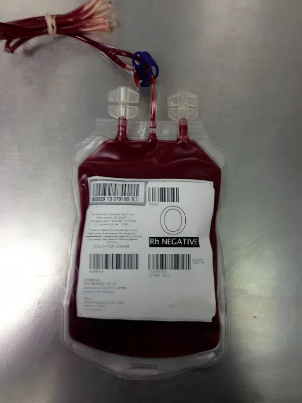 Salihu (Oyiza) Asimawu: What If Blood Could Be Prepared in the Lab? 1 Salihu (Oyiza) Asimawu: What If Blood Could Be Prepared in the Lab?