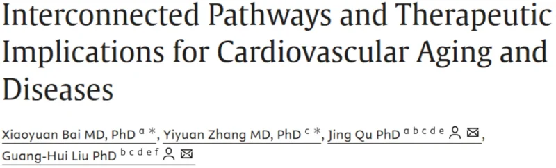 Bartosz Hudzik։ Targeting Cardiovascular Aging May Refine Treatment Strategies for CVD