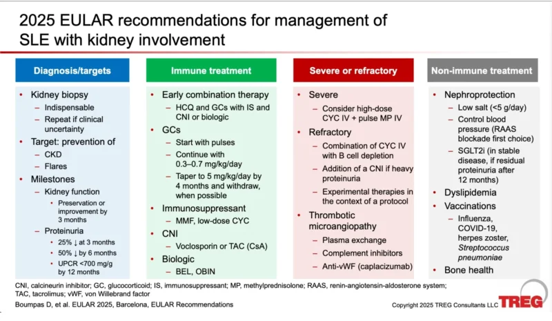 Adela Castro: 2025 EULAR Guidelines Key Updates in Lupus Nephritis