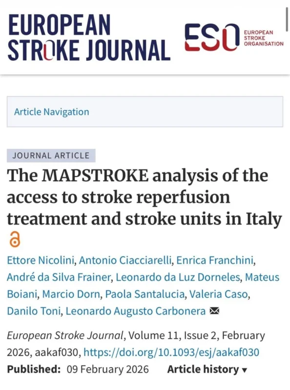 Leonardo Augusto Carbonera: MAPSTROKE Analysis to Enhance Stroke Implementation in Italy