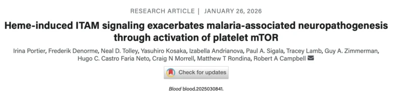 Irina Portier: The Role of Platelet mTOR in Adverse Heme-Induced Host Responses in Experimental Cerebral Malaria