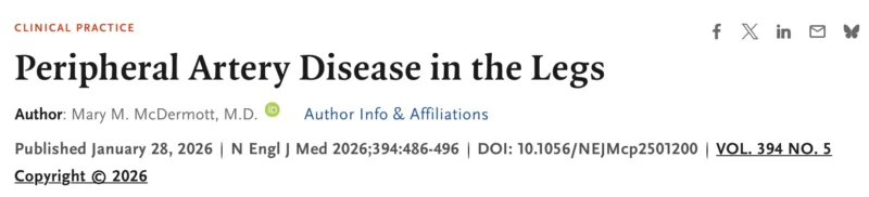 Christian Heiss: A Practical Synthesis on Peripheral Artery Disease in the Legs