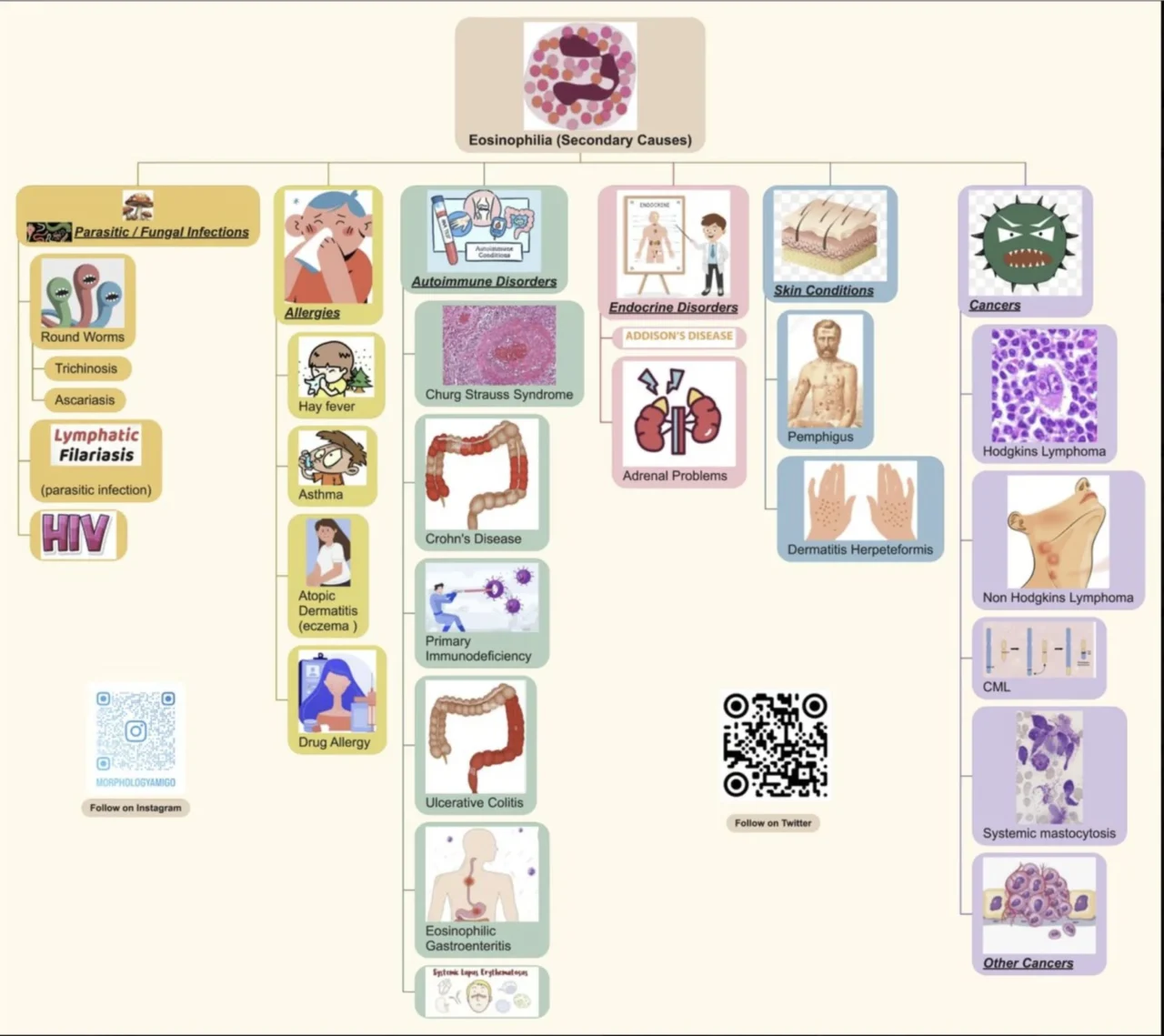 Hisam Siddiqi: A Helpful Clinical Framework for Understanding Eosinophilia 1 Hisam Siddiqi: A Helpful Clinical Framework for Understanding Eosinophilia