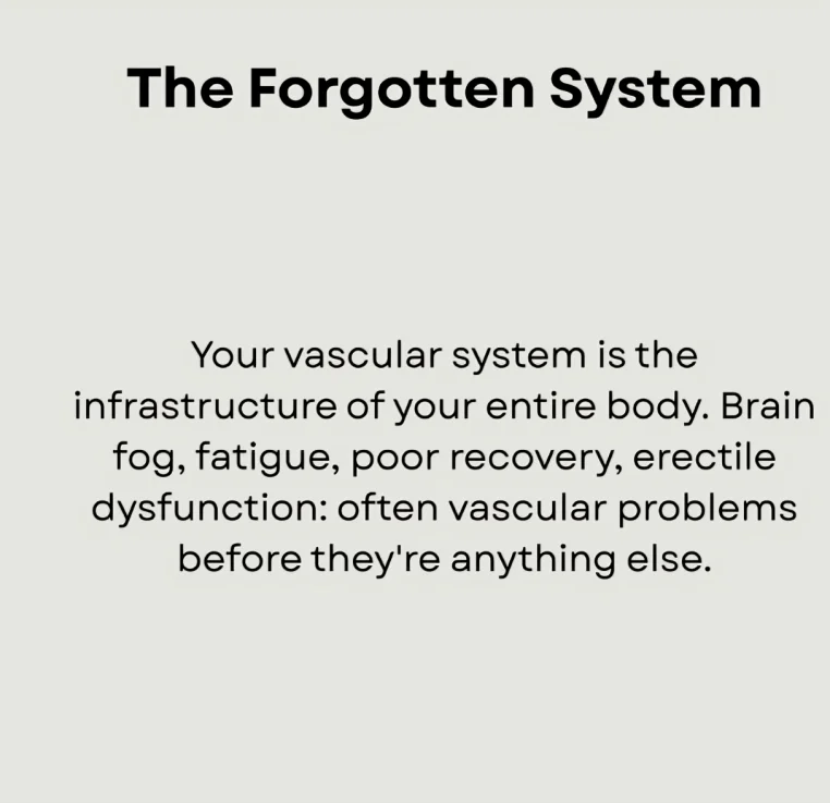 Erik Nelson։ Blood Vessels - The Silent System That Determines How You Age