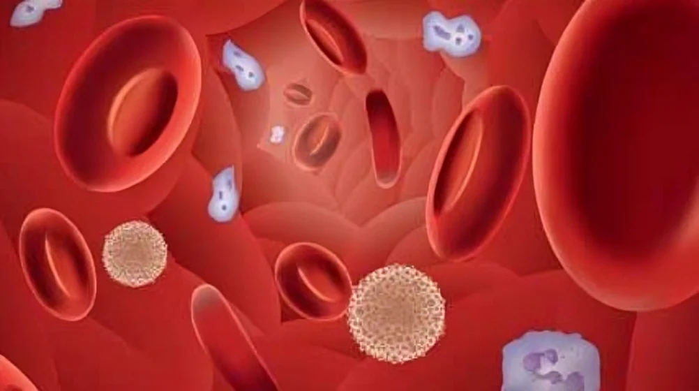 ABO-Incompatible Transfusions and Severe Allergic Reactions – ISBT