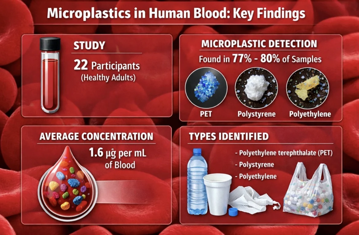 Reza Shojaei: The Presence of Microplastics in Blood Signals a New Era for Transfusion Medicine 1 Reza Shojaei