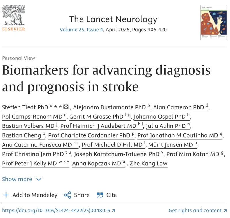 Gerrit M. Große: Key Biomarker Research Priorities from BIOSTROKE Collaboration