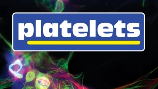 Gut Microbiota and Platelet Recovery After Radiation - Platelets Journal