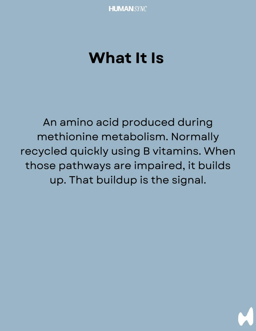Erik Nelson: The Biomarker that Connects Heart, Brain, and DNA