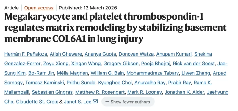 Ananya Gupta: How Platelets and Megakaryocytes Remodel the Lung Matrix After Injury