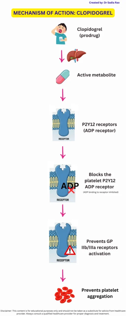 Sadia Rao: Mechanism of Clopidogrel in Platelet Aggregation Inhibition 1 Sadia Rao: Mechanism of Clopidogrel in Platelet Aggregation Inhibition