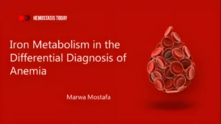 Marwa Mostafa: Iron Metabolism in the Differential Diagnosis of Anemia