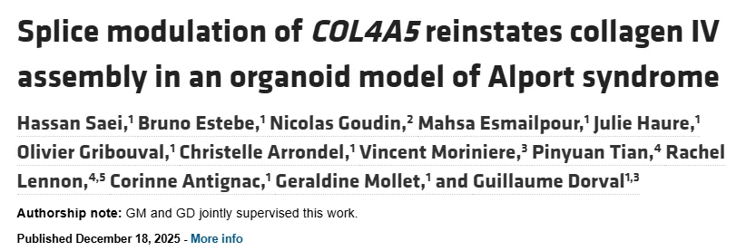 Alan Nurden: Targeting Splice Site Variants in Alport Syndrome with Antisense Therapy