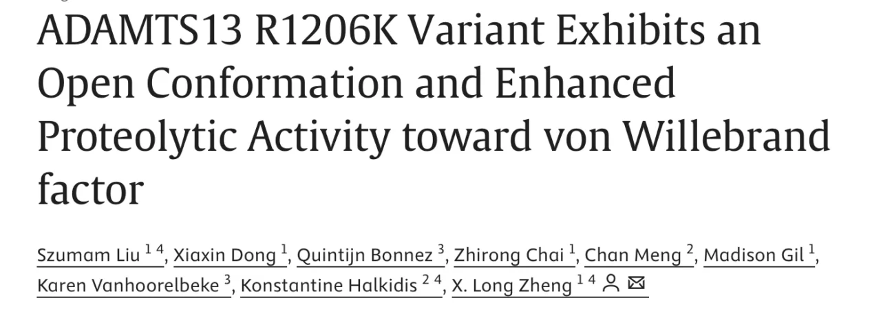 X. Long Zheng: Novel Gain-of-Function ADAMTS13 Variant with Potential Therapeutic Impact
