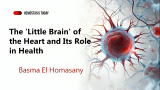 Basma El Homasany: The 'Little Brain' of the Heart and Its Role in Health