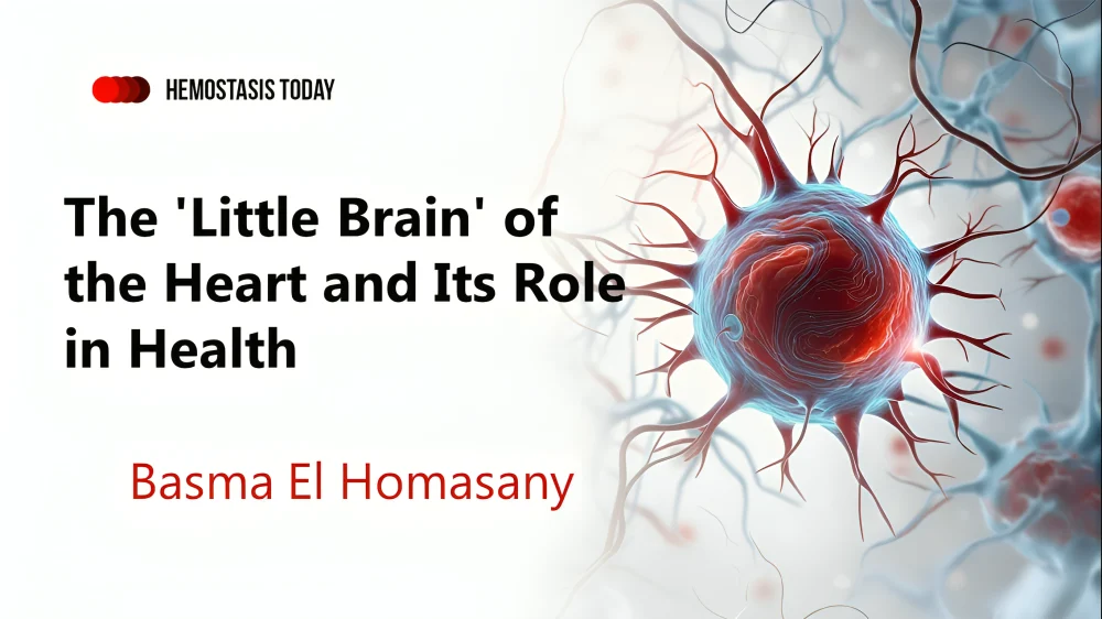 Basma El Homasany: The ‘Little Brain’ of the Heart and Its Role in Health