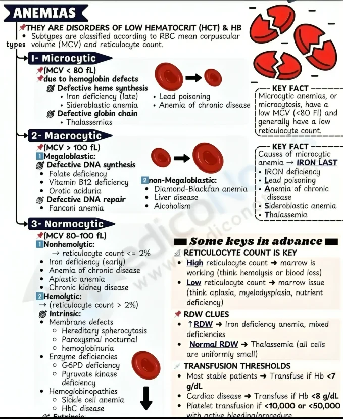 Hamid Noori: Etiological Classification of Anemia Understanding the Root Cause