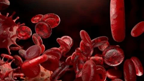 Jenny C. Chang։ AI Identifies Hidden Patterns in Bloodstream Infections