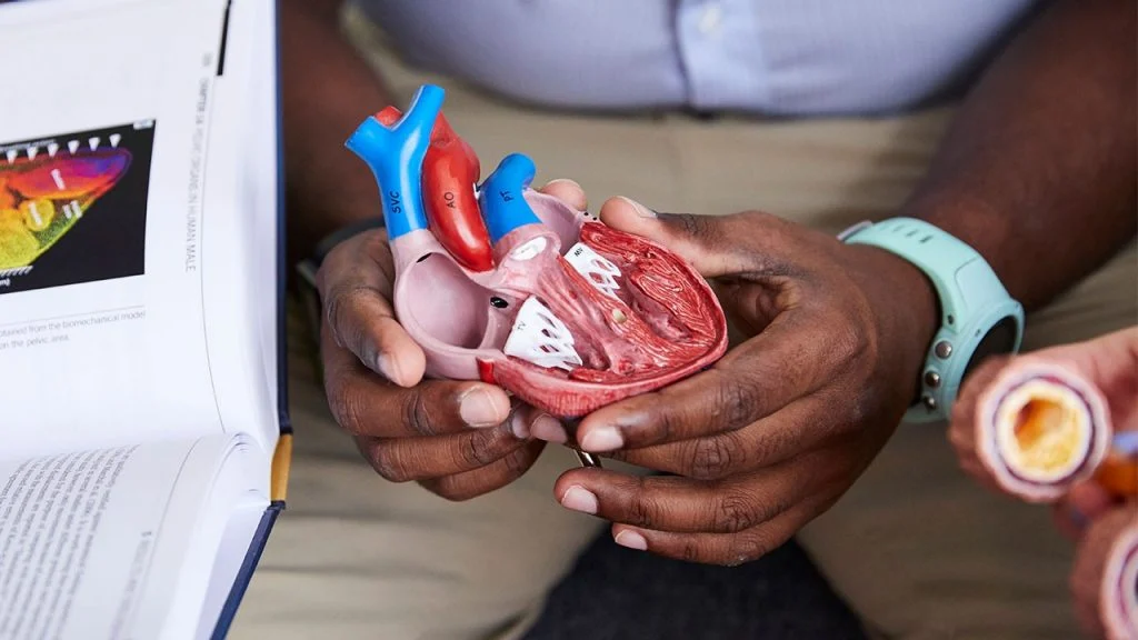 Nishith Patel: PhD or Masters Opportunity in Aortic Disease Research at the University of Auckland