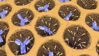 From a Single Cell to Lifesaving Science - The Nobel Prize