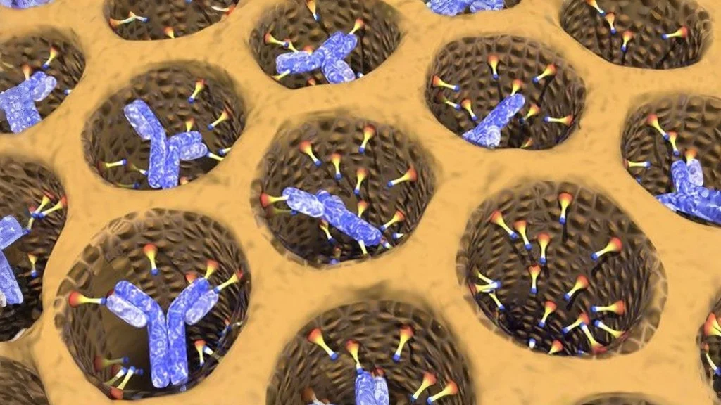 From a Single Cell to Lifesaving Science – The Nobel Prize