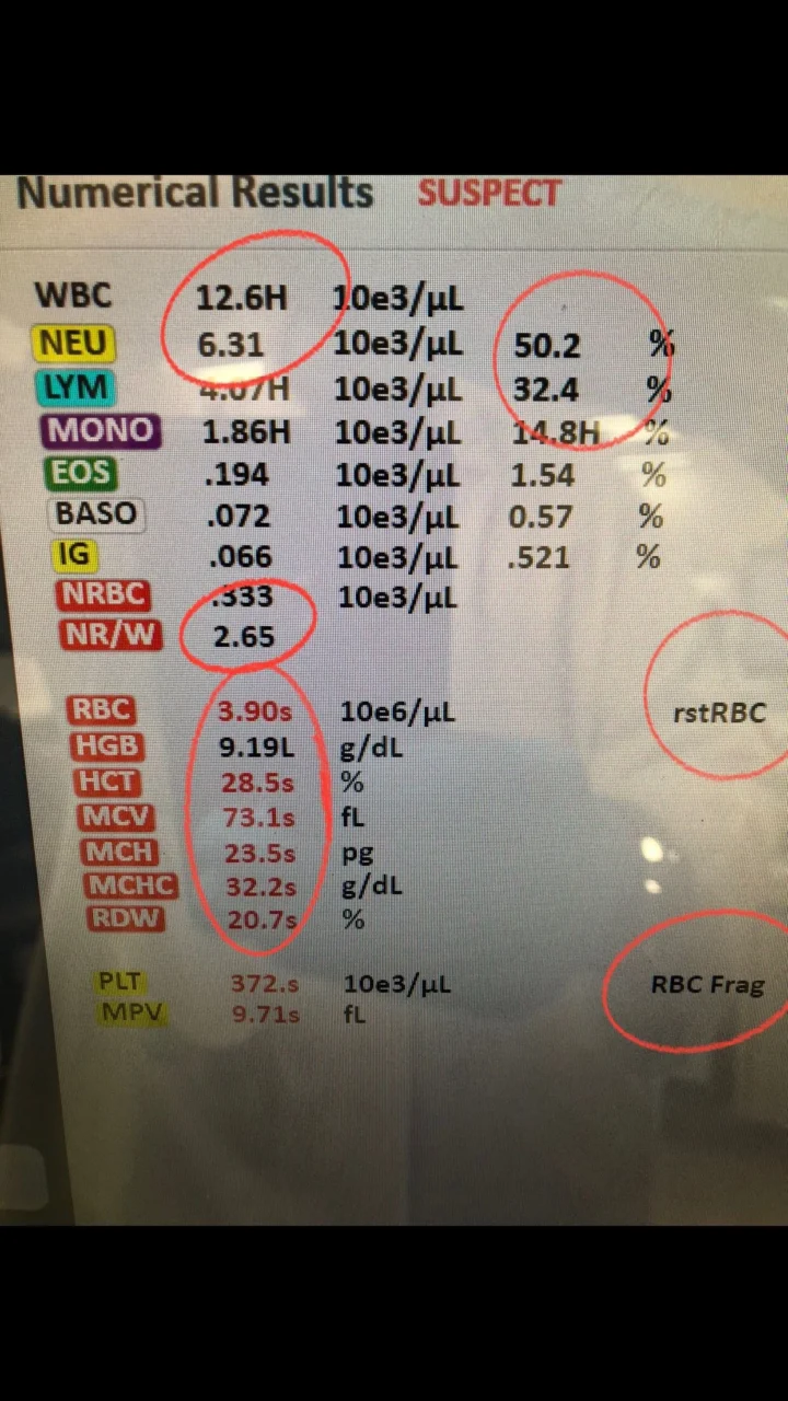 Abdulaziz (Omar) Badran