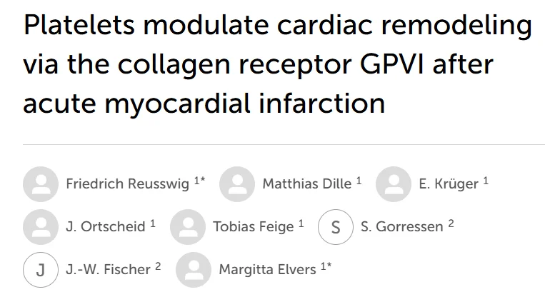Dima S.։ Could Blood Platelets Help Shape How the Heart Heals After a Heart Attack?