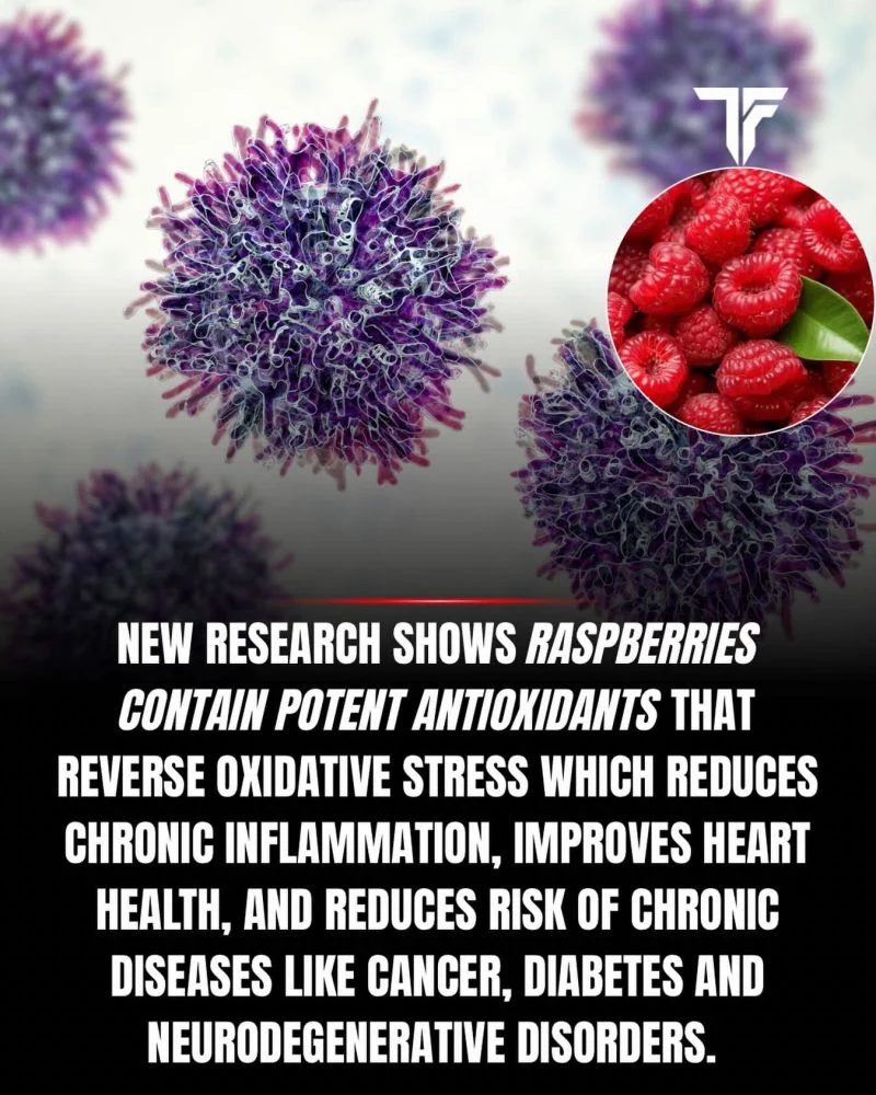 Mahesan Subramaniam: Raspberry Antioxidants Reduce Inflammation and Support Heart, Brain, and Metabolic Health