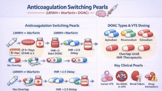 Chokri Ben Lamine: Anticoagulation Switching Pearls