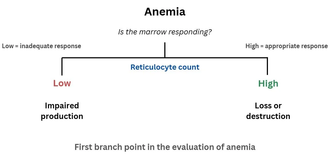 William Aird: A Physiological Approach to Anemia