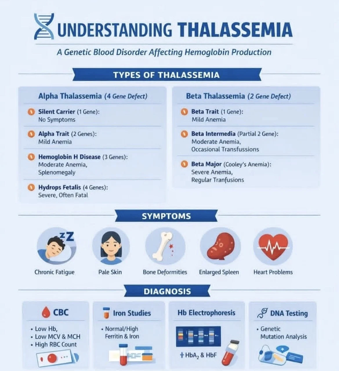 Tareq Abadl: Understanding Thalassemia - Breaking the 'Ordinary Anemia' Myth 1 Tareq Abadl