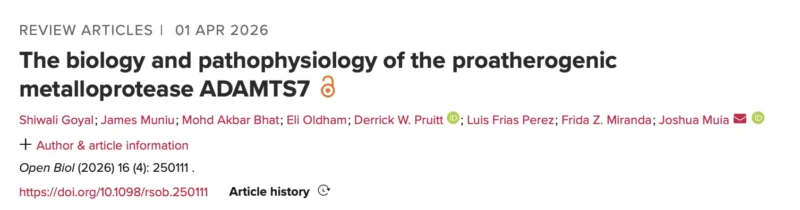 Joshua Muia: Our Latest Review on the Proatherogenic Metalloprotease ADAMTS7