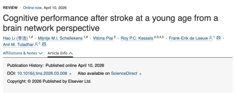 Roy P.C. Kessels: Stroke's Cognitive Impact on Young Adults Is Significant and Often Overlooked